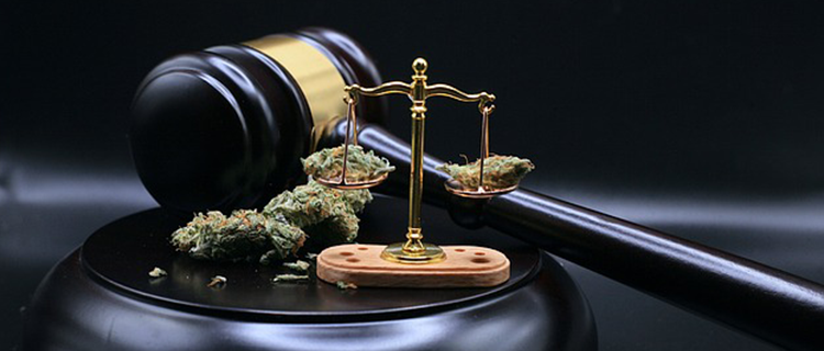 酒吧被打跑了怎么赔偿